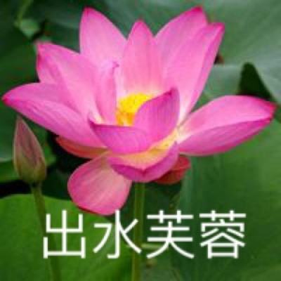 炸妈魔盒特别版下载